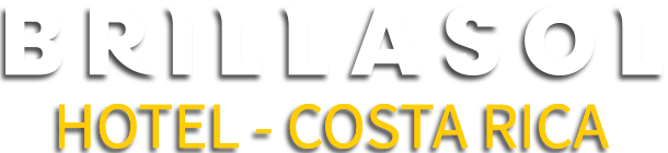 logo principal blanco con sombra2